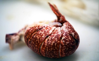 Le homard de l'Aubergade