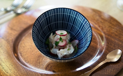 Ceviche de sandre/citron vert, coriandre frais